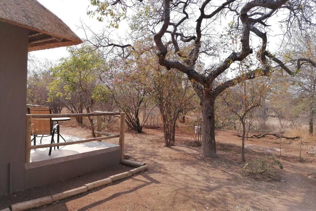Amukela Kaya Villa Hoedspruit Ngoại thất bức ảnh