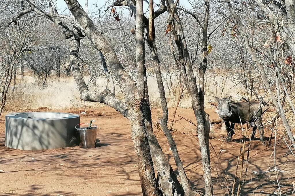 Amukela Kaya Villa Hoedspruit Ngoại thất bức ảnh